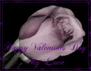 happy valentines day my love
