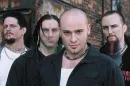 Disturbed