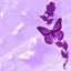 purple butterfly