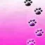 paw prints
