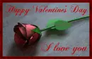 Happy Valentines Day  *i love you*