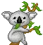 koala bear