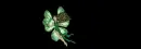 Fairy dust