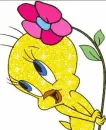 Tweety bird