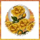 Yellow Rose