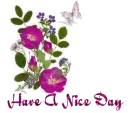 Have a nice day