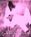 ahebak moot el ghali