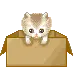 Kitty