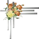 Corner