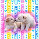 Cute...^^