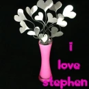 i love stephen