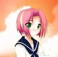 sakura
