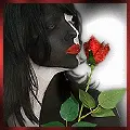 Rose Kiss