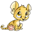 baby tiger
