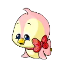 cute baby penguin