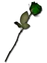 lalilagreen
