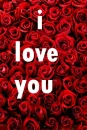 i love you