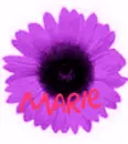 Marie Flower