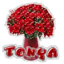 Tonya