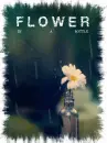 flower in a bottle