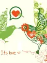 bird love