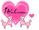 cute kawaii welcome poddle