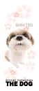 CUTE PUPPY