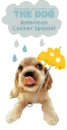 PUPPY