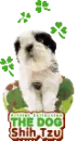 PUPPY