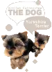 YORKIE