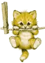 Kitty
