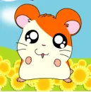 Hamtaro