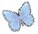 Blue Butterfly