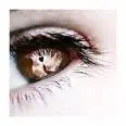 love_eye