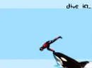 Dive In
