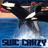 SeaWorld San Diego Crazy