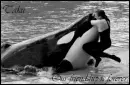 Taku-We will always be friends forever