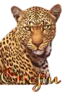 Name