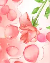 cute kawaii rose flower