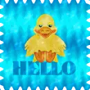 Hello