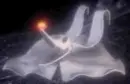 zero