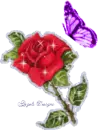 Rose and Butterfly
