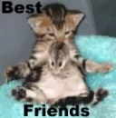 Best friends