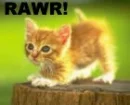 RAWR!