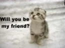 Will you be my friend?