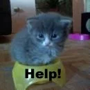 Help!