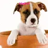 A Cute and quick hello!