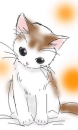 Kitty