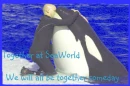 Together at SeaWorld