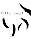 Black feathers
